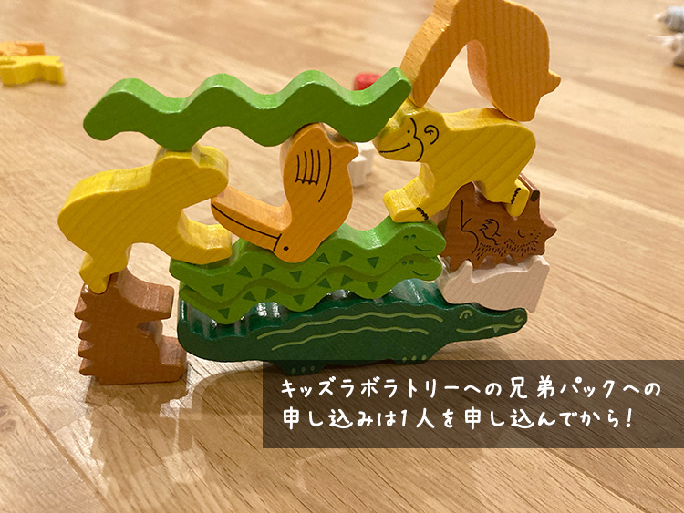 キッズ・ラボラトリー兄弟パック申込方法